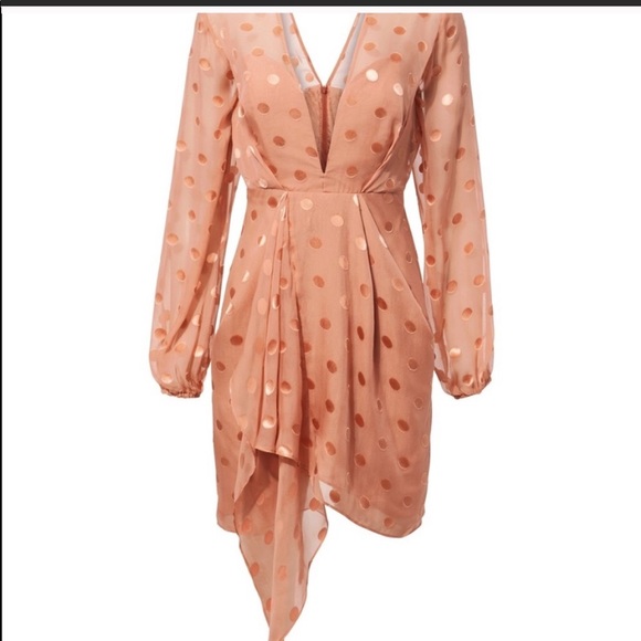 MICHELLE MASON DRESS - Picture 3 of 4